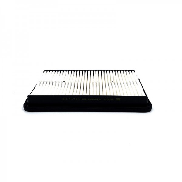 BIG FILTER GB-95038PL