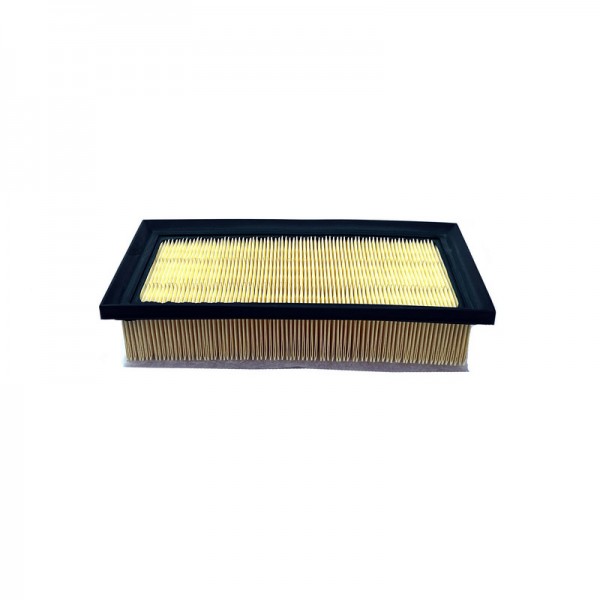 BIG FILTER GB-95091PR
