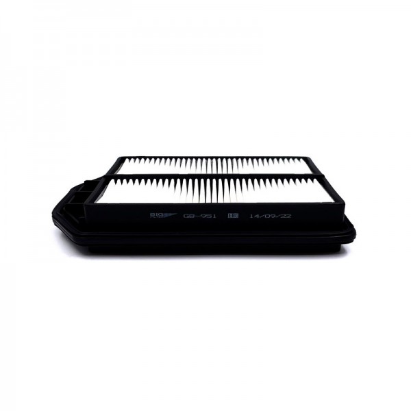 BIG FILTER GB-951