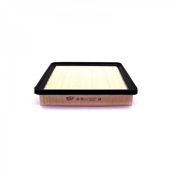 BIG FILTER GB-95113
