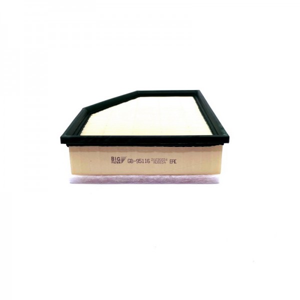 BIG FILTER GB-95116