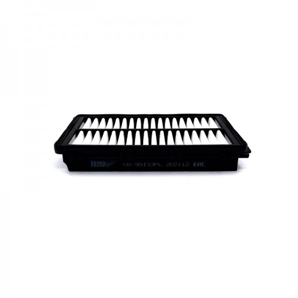 BIG FILTER GB-95133PL