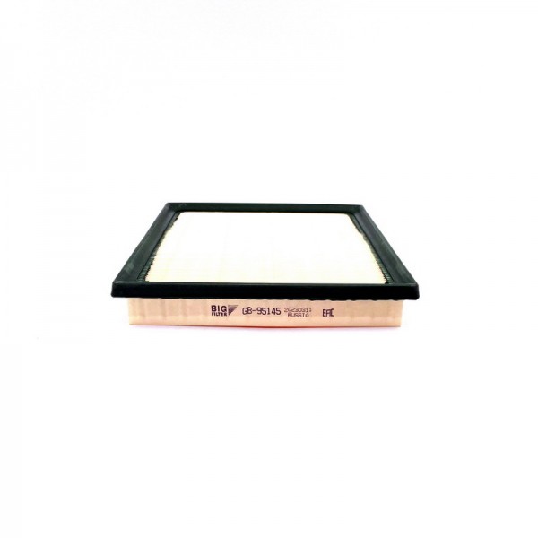 BIG FILTER GB-95145