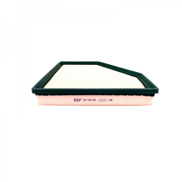 BIG FILTER GB-95158