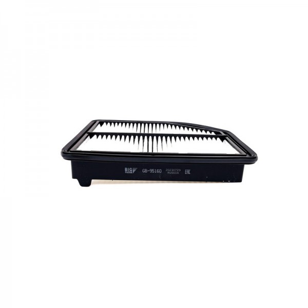 BIG FILTER GB-95160