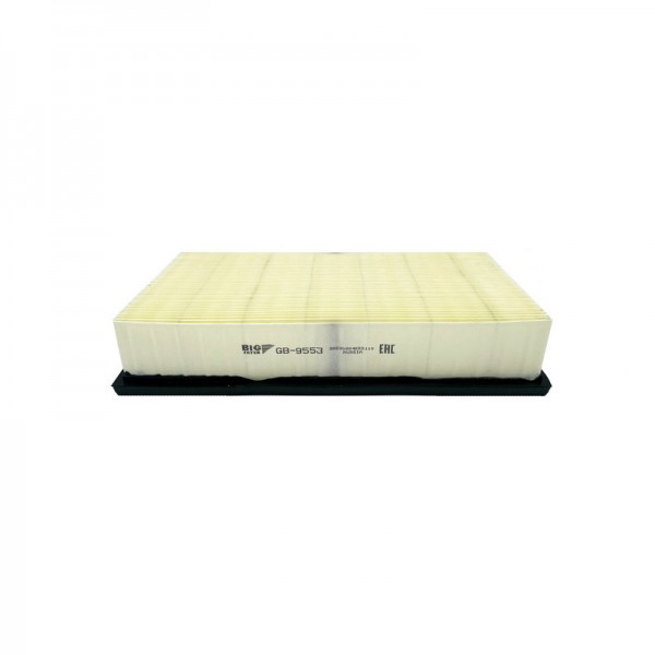BIG FILTER GB-9553