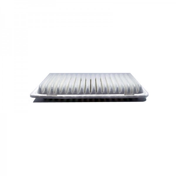 BIG FILTER GB-9561