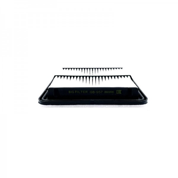 BIG FILTER GB-957