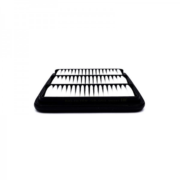 BIG FILTER GB-959