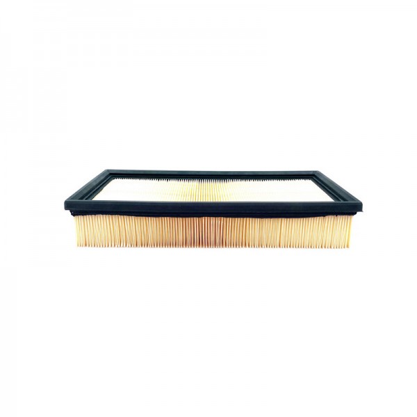 BIG FILTER GB-9611