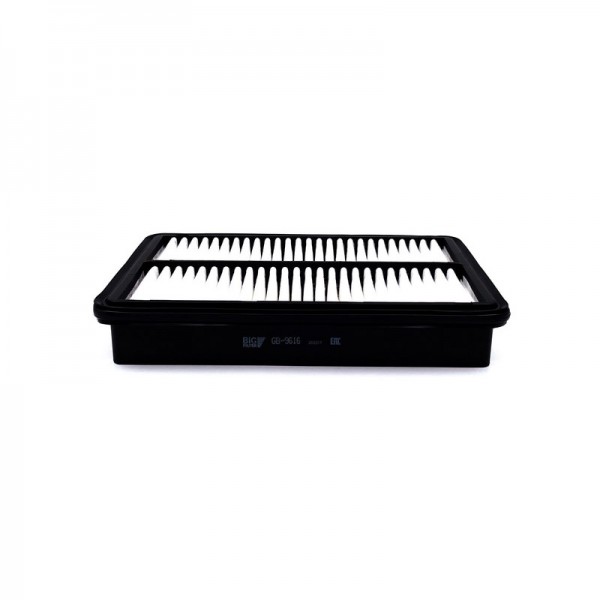 BIG FILTER GB-9616