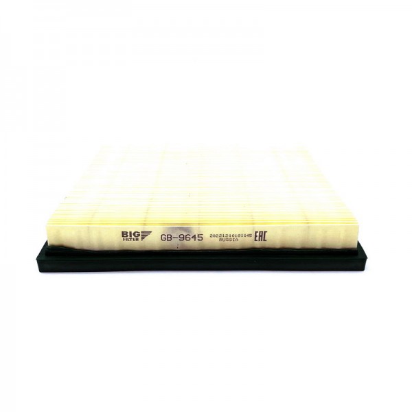 BIG FILTER GB-9645