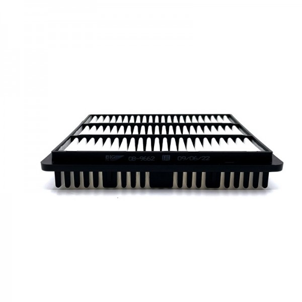 BIG FILTER GB-9662