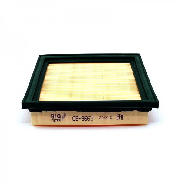 BIG FILTER GB-9663