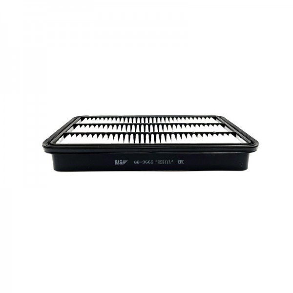 BIG FILTER GB-9665