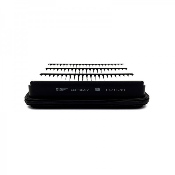 BIG FILTER GB-9667