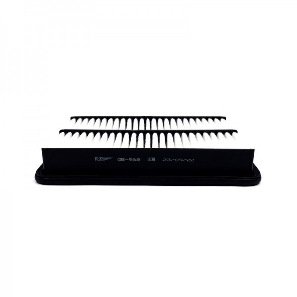 BIG FILTER GB-968