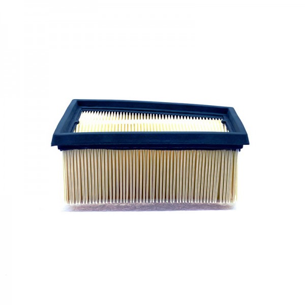 BIG FILTER GB-9719