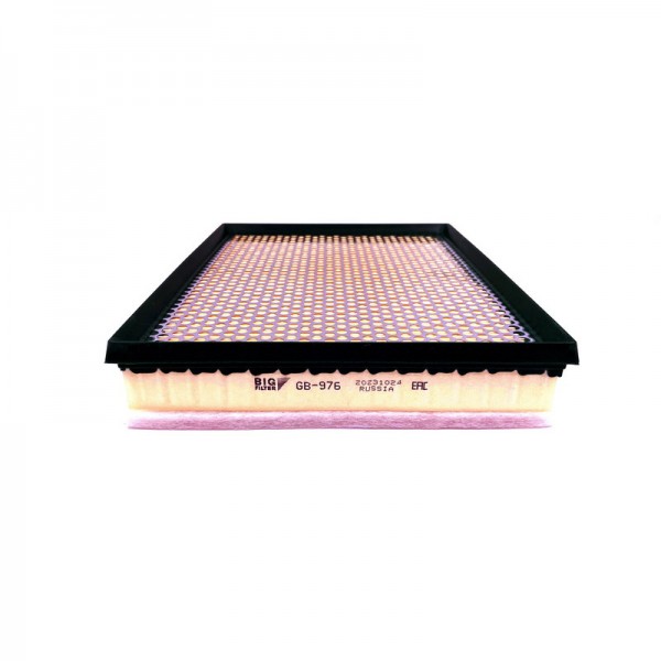 BIG FILTER GB-976