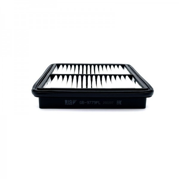 BIG FILTER GB-9779PL