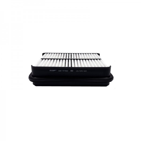 BIG FILTER GB-9788