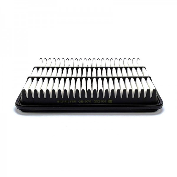 BIG FILTER GB-979