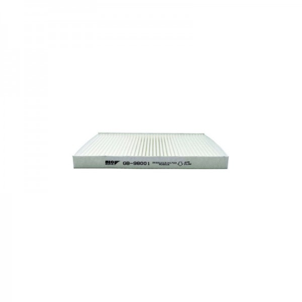 BIG FILTER GB-98001