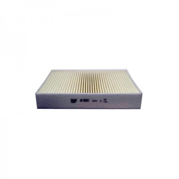 BIG FILTER GB-98002