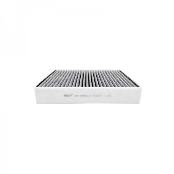 BIG FILTER GB-98002-C