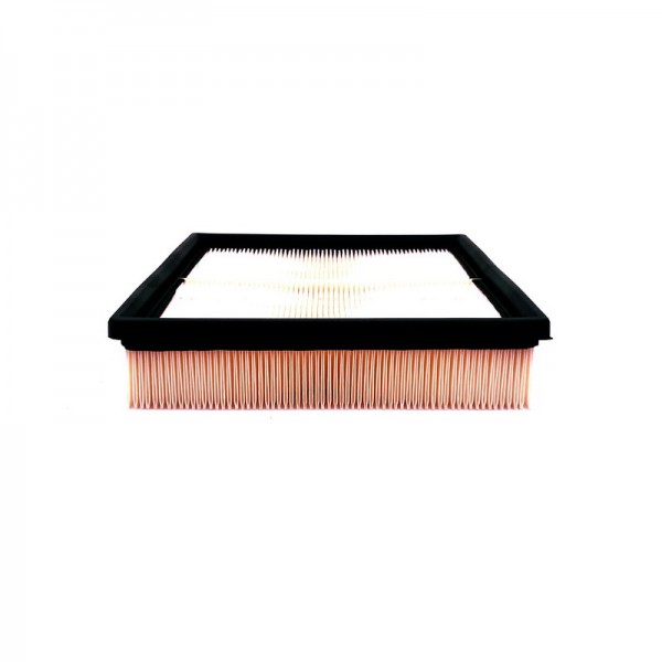 BIG FILTER GB-98003