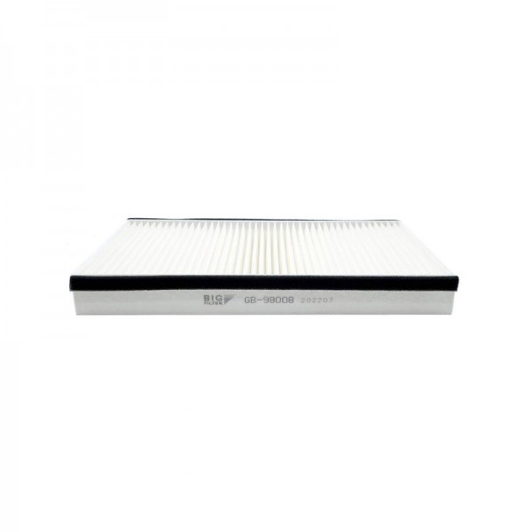 BIG FILTER GB-98008