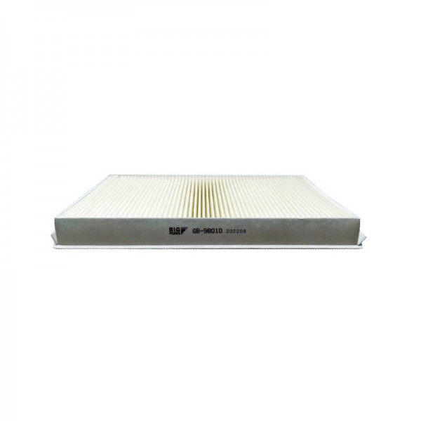 BIG FILTER GB-98010