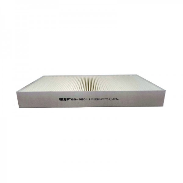 BIG FILTER GB-98011