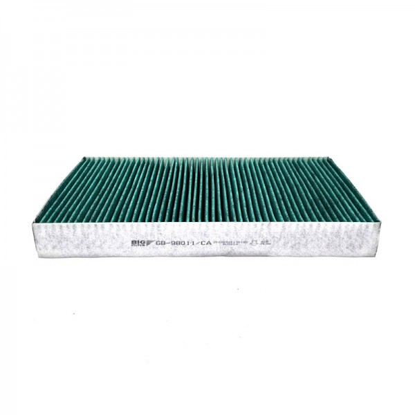 BIG FILTER GB-98011-CA