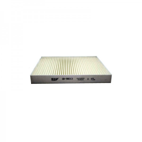 BIG FILTER GB-98013