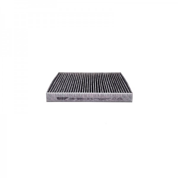 BIG FILTER GB-98013-C