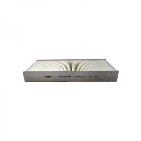 BIG FILTER GB-98026