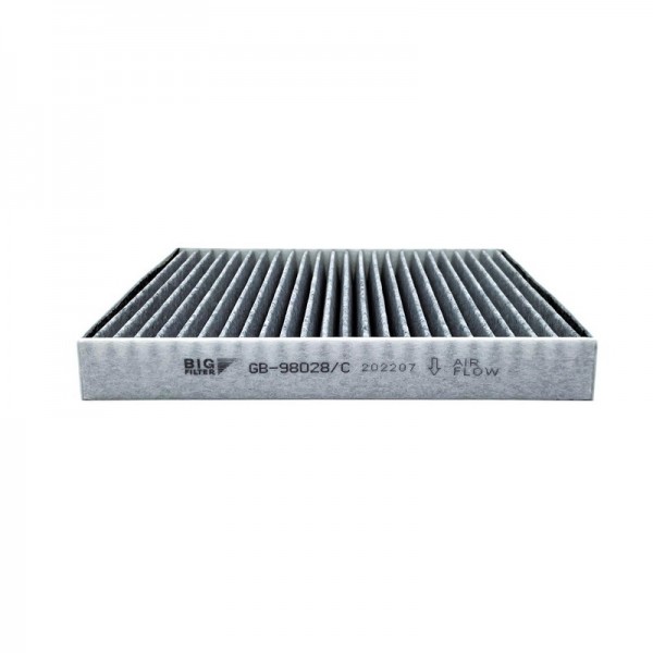 BIG FILTER GB-98028-C