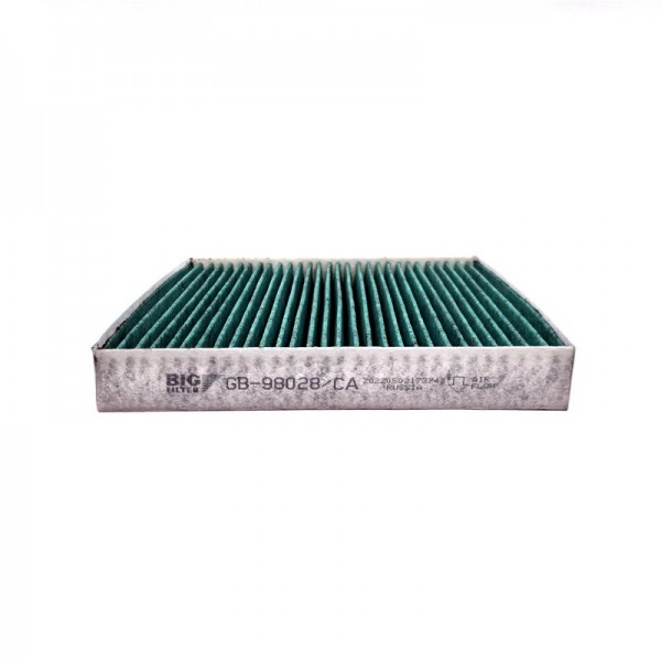 BIG FILTER GB-98028-CA