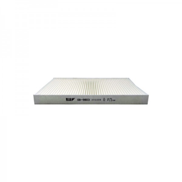 BIG FILTER GB-9803