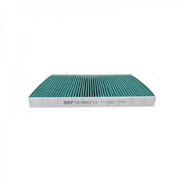 BIG FILTER GB-9803-CA