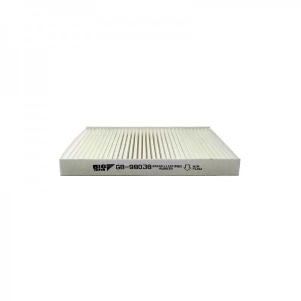 BIG FILTER GB-98038