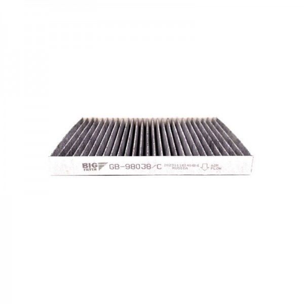 BIG FILTER GB-98038-C
