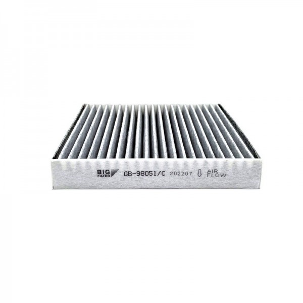 BIG FILTER GB-98051-C