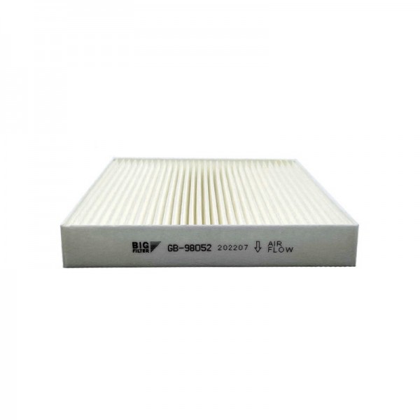 BIG FILTER GB-98052