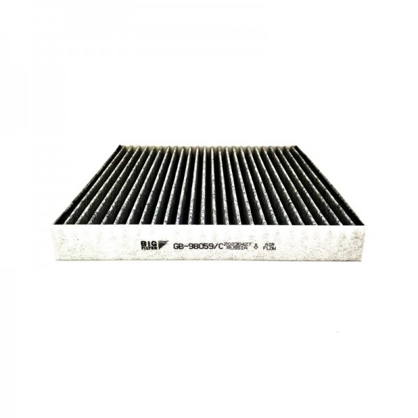 BIG FILTER GB-98059-C