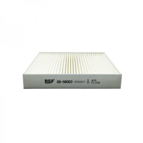 BIG FILTER GB-98060