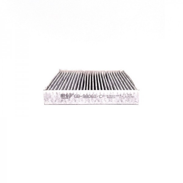 BIG FILTER GB-98060-C