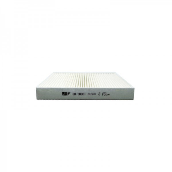 BIG FILTER GB-98061