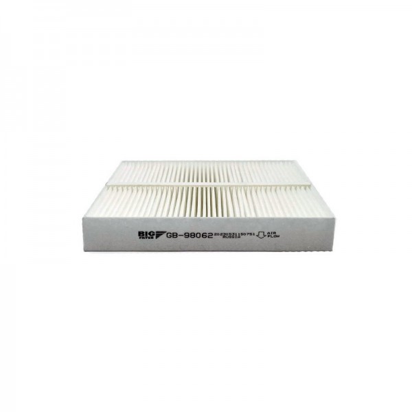 BIG FILTER GB-98062